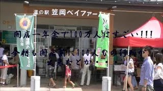 道の駅笠岡ベイファーム　&　コスモス畑.Road station kasaoka Bay farm .