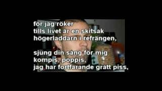 Färska Prinzen - Solna (Och Jag Är Sur) Lyrics i videon