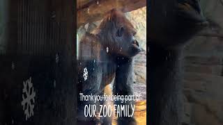 2022 Year End Thanks - Cincinnati Zoo