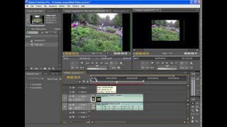 Создание Стоп-Кадров в Adobe Pemiere Pro