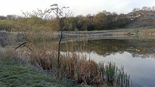 Societatea de pescari din orașul Soroca curăță malul lacului Ivanchenko de resturi. Alex Pro