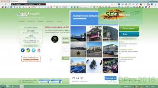 SEOsprint SEOPro 2016 - бот для Seosprint и Seo-fast(беспалевный бот)