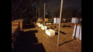 Столбы для виноградной лозы на пасеке, из профиля 60х27х3000