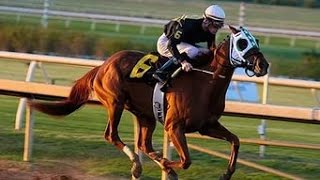 Автоматический торговый бот для Betfair в действии