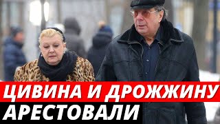 Наталья Дрожжина и Михаил Цивин АРЕСТОВАНЫ по делу о махинациях