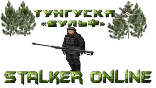 Stalker online Тунгуска квест Колесо Вульф Пустошь