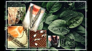 KONOVA SVETLANA.ПЕРЕДЕЛКИ. Бусы разные, бусы прекрасные: классика и нестандарт.