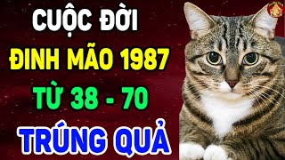 Tử Vi Trọn Đời Tuổi Đinh Mão 1987, Từ 38 - 70 Tuổi, Bất Ngờ được THẦN TÀI CHIẾU CỐ, ĐỔI ĐỜI | TPTV