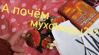 Барахолка на Геров труда, Харьков.  А почём мухоморы????