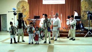 Campul Romanesc Revelion 2011 2012 Plugusorul 1