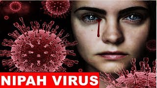 Nipah Virus: Everything You Need To Know