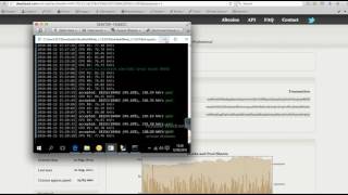 Genoil Etherium miner on DwarfPool with Proxy