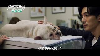 《黑喵知情》救救我的孩子 他們快死掉了