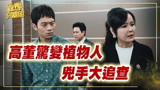 《金彩大回甘》EP95 高董驚變植物人 兇手大追查