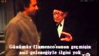 andres segovia la guitarra part 1