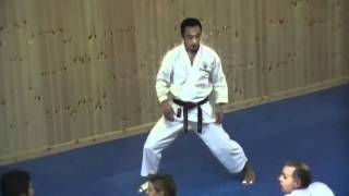 Yamaguchi Sensei - Power Generation