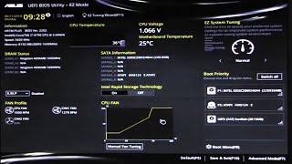 BIOS Updating