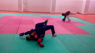 new Techniques  Integral vovinam 2019