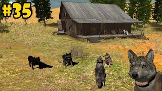 Wolf Quest Multiplayer - Lost River -Hunting With Friends- Android/iOS/Kindle - Gameplay Episode 35