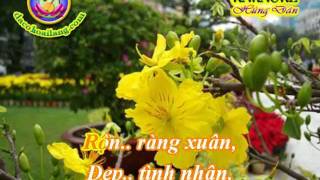 Karaoke - LK Mung Xuan & Vui Chuc Xuan - HD