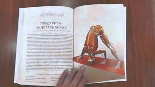 Анатомия Йоги. Книги. Ключевые позы йоги. Рэй Лонг.