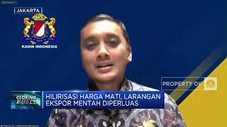Hilirisasi Harga Mati, Larangan Ekspor Diperluas?