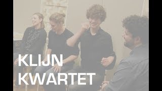 Klijn kwartet - Visingsö