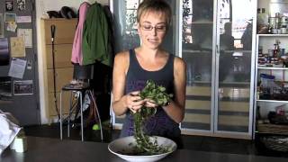 An Introduction to Purslane