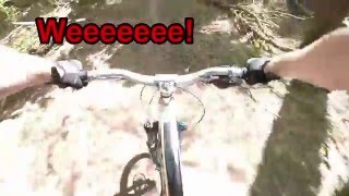 Friston forest 2016