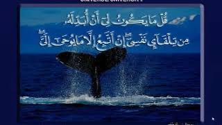 Sain Quran - X Factor dalam Alquran
