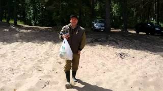 Minelab GO-FIND40 коп на пляже ладога