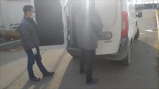 Чернышку и новенькую Лизоньку привезла домой