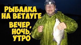 РЫБАЛКА с НОЧЁВКОЙ на Ветлуге. Густера, лещ, язь на ФИДЕР.