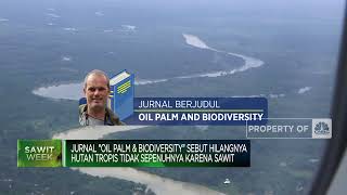 Mengapa Sawit Erat Kaitannya Dengan Isu Deforestasi?