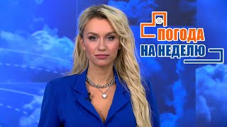 Снег и гололёд! Погода на неделю | Прогноз погоды с 21 по 27 ноября 2022 | Плюс-минус