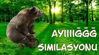 AYI BELGESELİ (Bear Simulator)