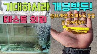 테스트 시작! 합사 카본 웜 미노우 등등 곧 가성비 갑인 제품들이 쏟아진다!!