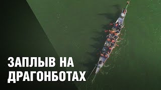 Звезды vs спортивная пресса: заплыв на драгонботах