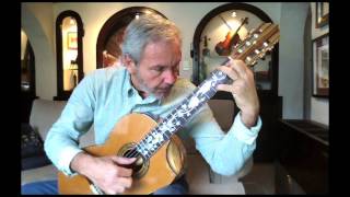 Bellucci Guitars, Zebrawood Concert classical guitar