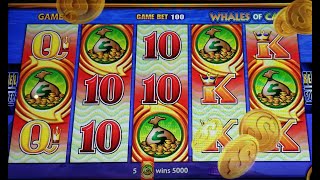 Whales Of Cash Extreme Boost Bonus Win