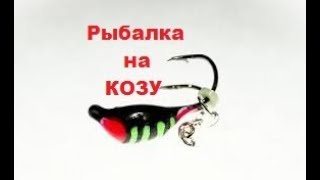 Рыбалка " На мормышку коза " Winter fishing