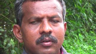 സ്വന്തം ദൗർഭാഗ്യം മറന്ന് ഭാഗ്യം വിൽക്കുന്ന പ്രഷീദ് |Prasheed|Blind lucky seller|Naduvath