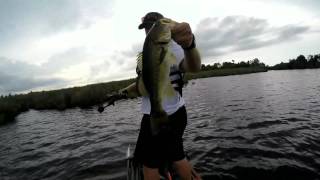 Haibo Overlord Fishing Reel Review