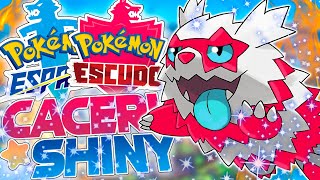 NUEVA CACERIA Zigzagoon Galar✨Caceria Shiny Pokemon Espada Escudo?️⚔️