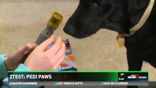 2Test PediPaws