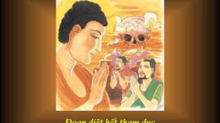 KINH PHÁP CÚ 16 - Phẩm HỶ ÁI - Nhạc Võ Tá Hân - Thơ Tuệ Kiên