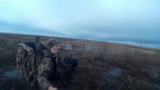 Весенняя охота на ГУСЯ 2018 .Один в поле воин!!!Много налетов.goose hunting. a caccia d'oca
