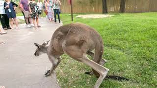 Zoo La La 2021 - Thank You - Cincinnati Zoo