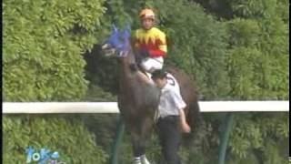 2007日本ダービードキュメント。ウオッカVODKAとフサイチホウオー