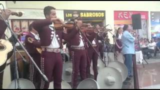 Y volveré  Manuel Gámez y mariachi monumental de T